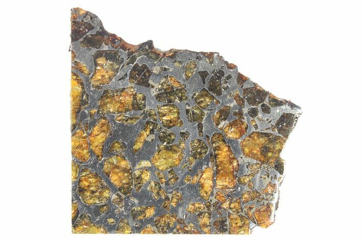 Brahin Pallasite Meteorite (g) Slice - Belarus #269642